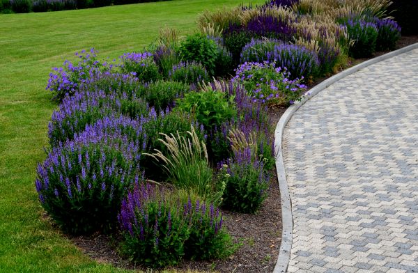 Sidewalk Curb Installation in Oroville
