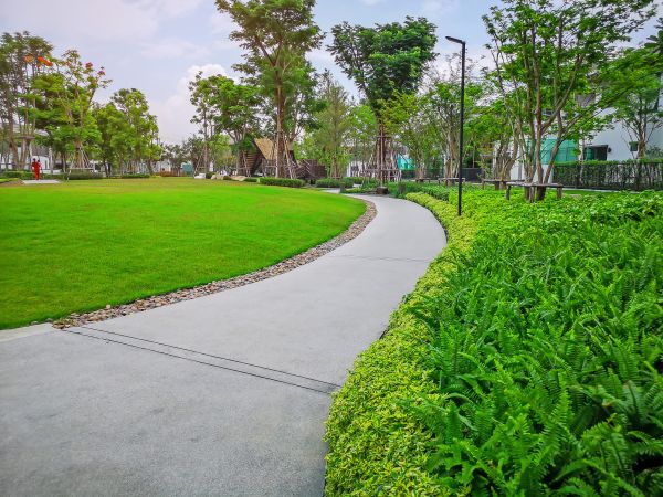 Cement Walkway Service in Oroville