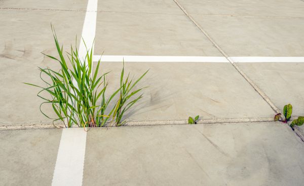 Concrete Parking Installation in Oroville