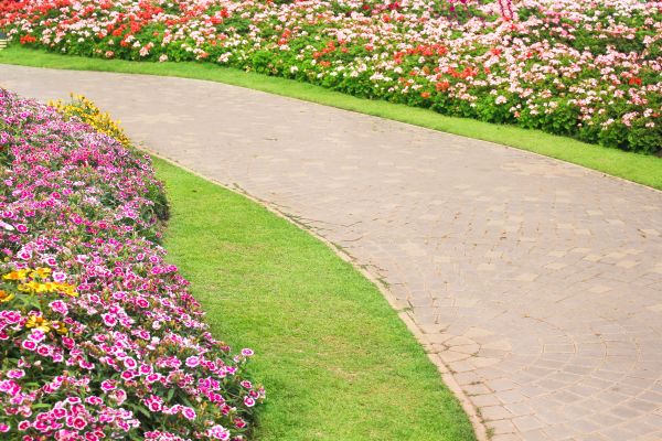 Concrete Walkway Service in Oroville